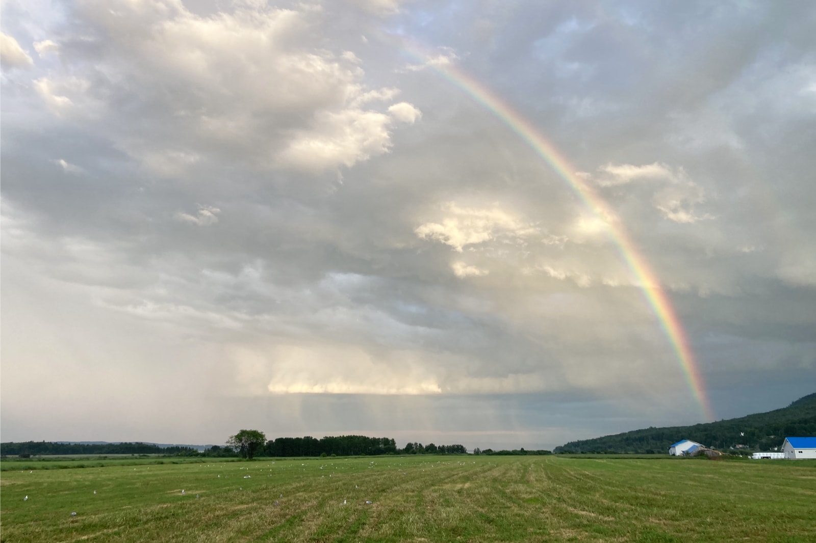 Double rainbow