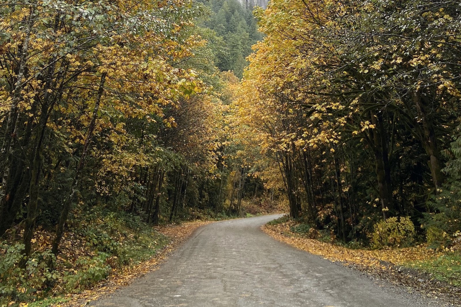 A Wet DNF at the Squamish 50k