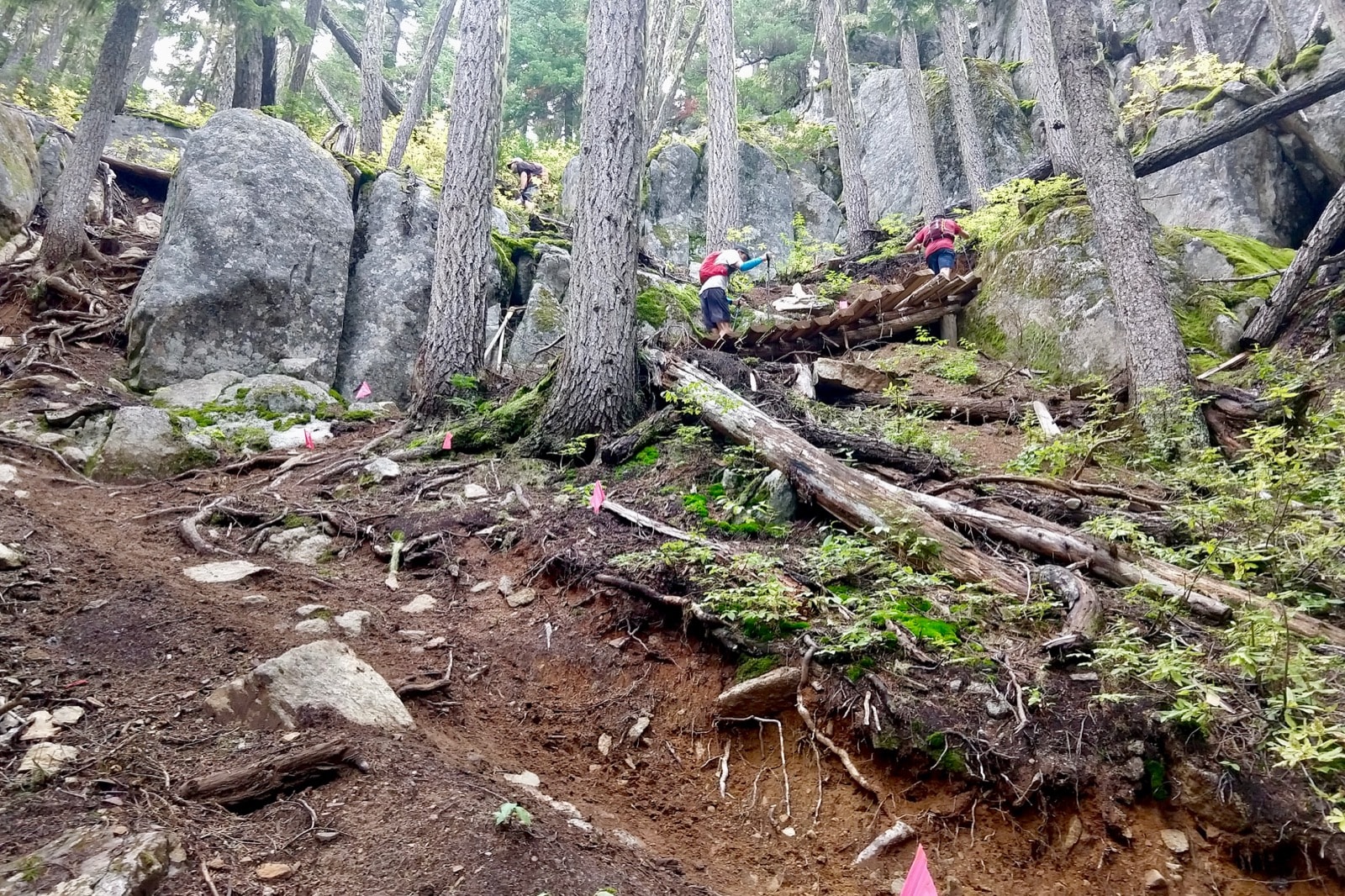 Steep trail up to Whistler